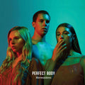 Mermaidens - Perfect Body (Vinyl)