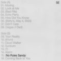 Sylvan Esso - No Rules Sandy