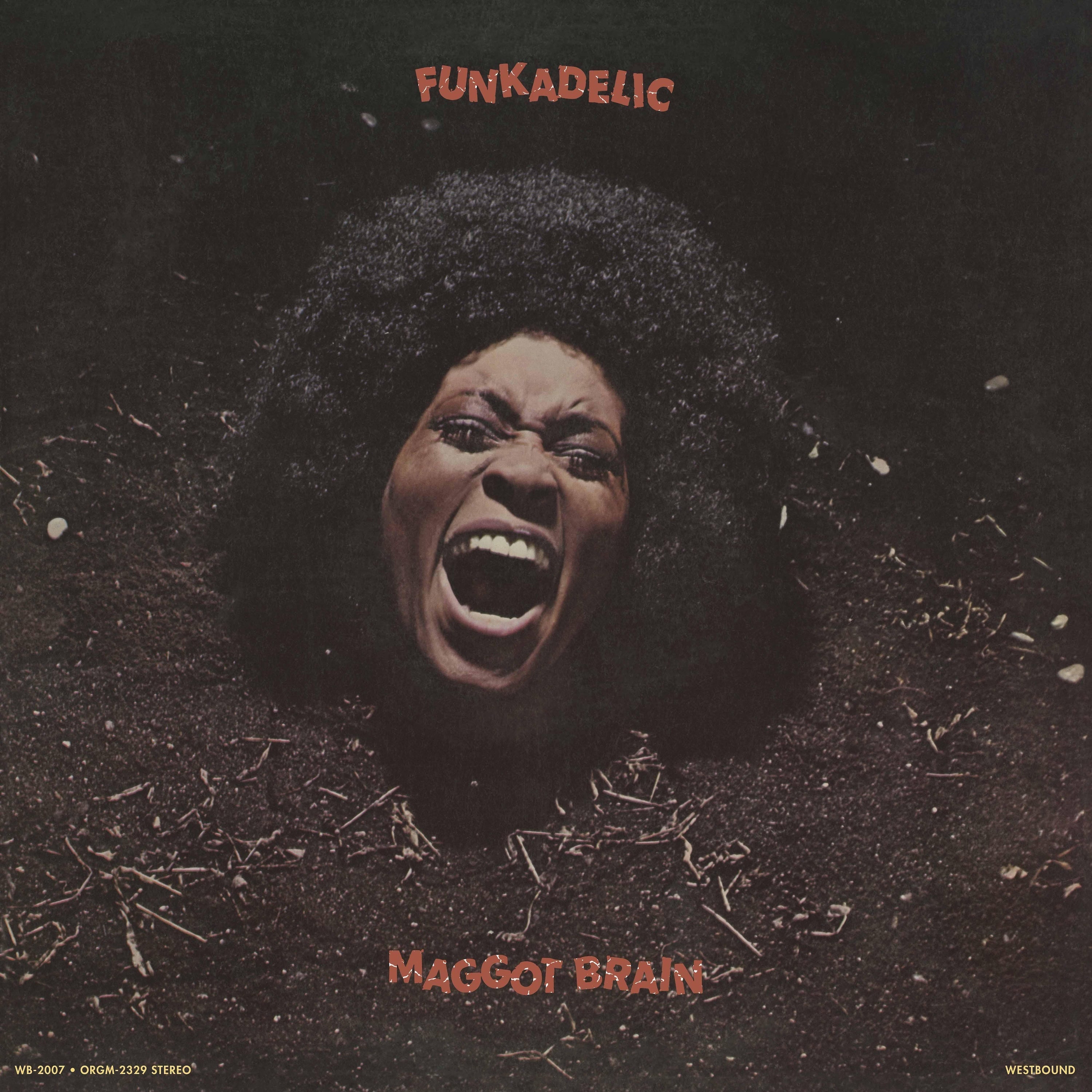 FUNKADELIC 'MAGGOT BRAIN' LP