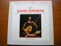CANTI AMOROSI: CACCINI / PERI / DA GAGLIANO / SARACINI / CALESTANI / d'INDIA      NIGEL ROGERS    2533 305