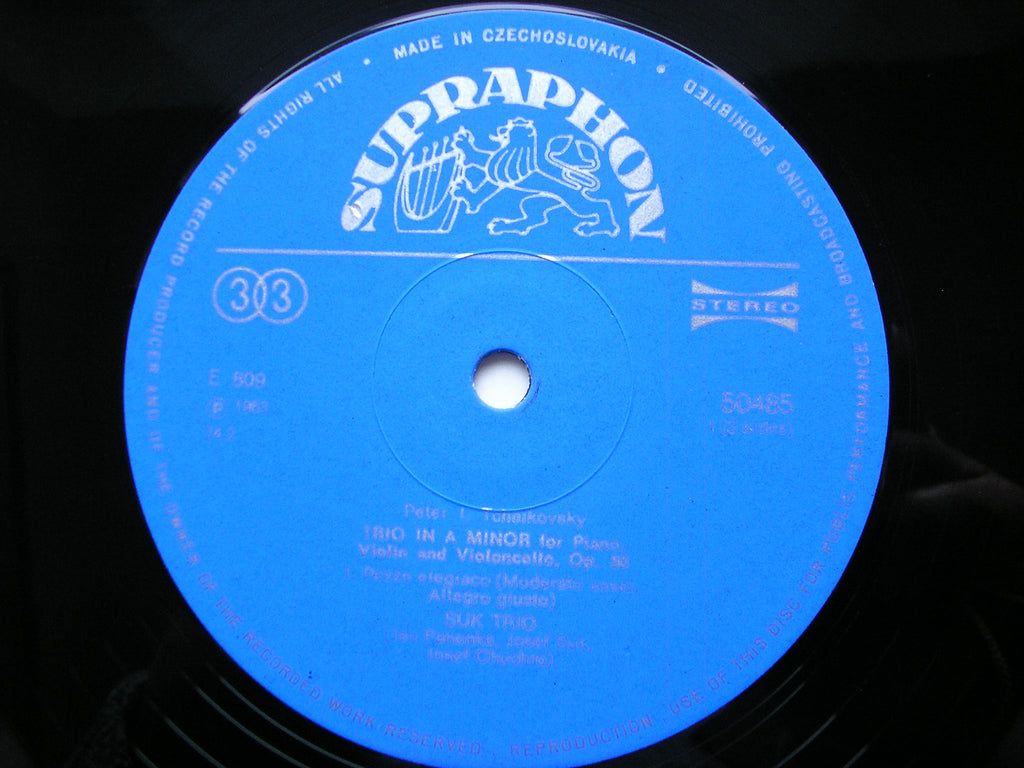 TCHAIKOVSKY: PIANO TRIO in A       THE SUK TRIO      50485