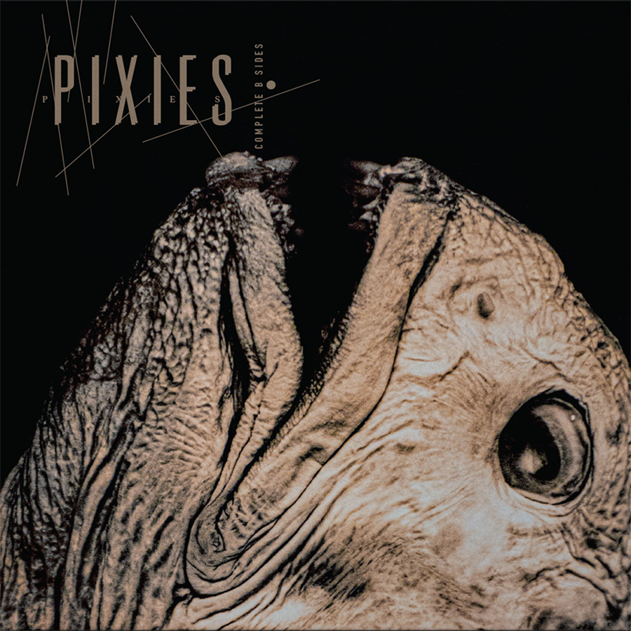 PIXIES ‘COMPLETE B SIDES: 1988-97’ 2LP (Clear Vinyl)