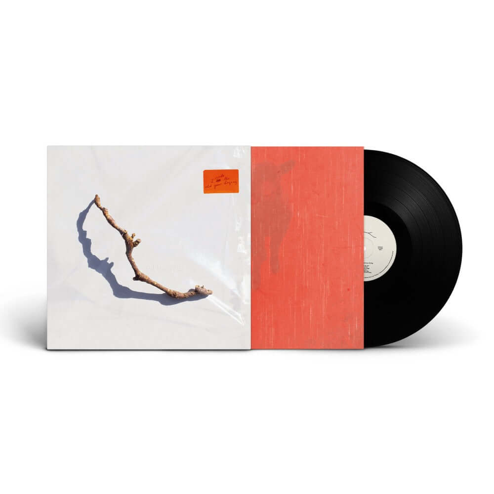PJ Harvey - I Inside the Old Year Dying (Vinyl)