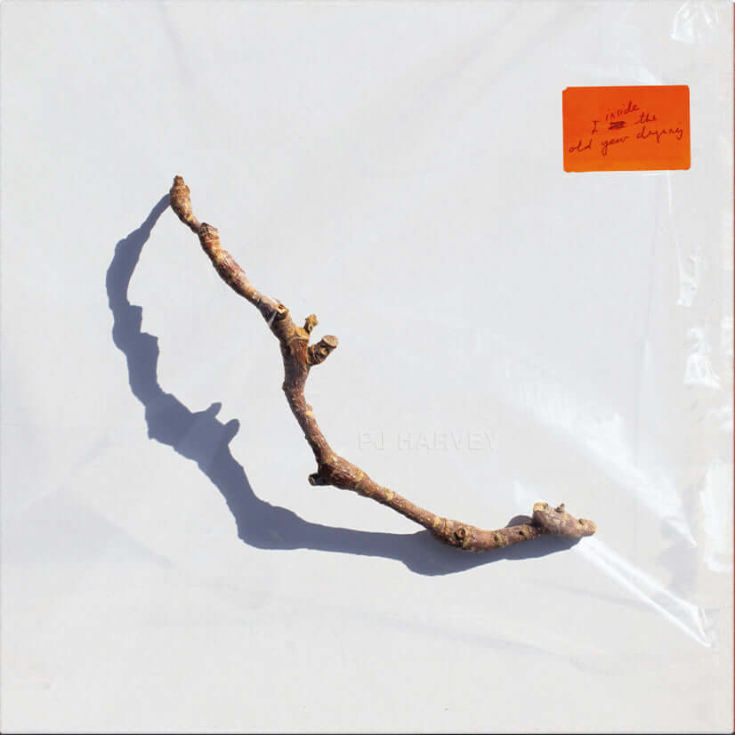 PJ Harvey - I Inside the Old Year Dying (Vinyl)