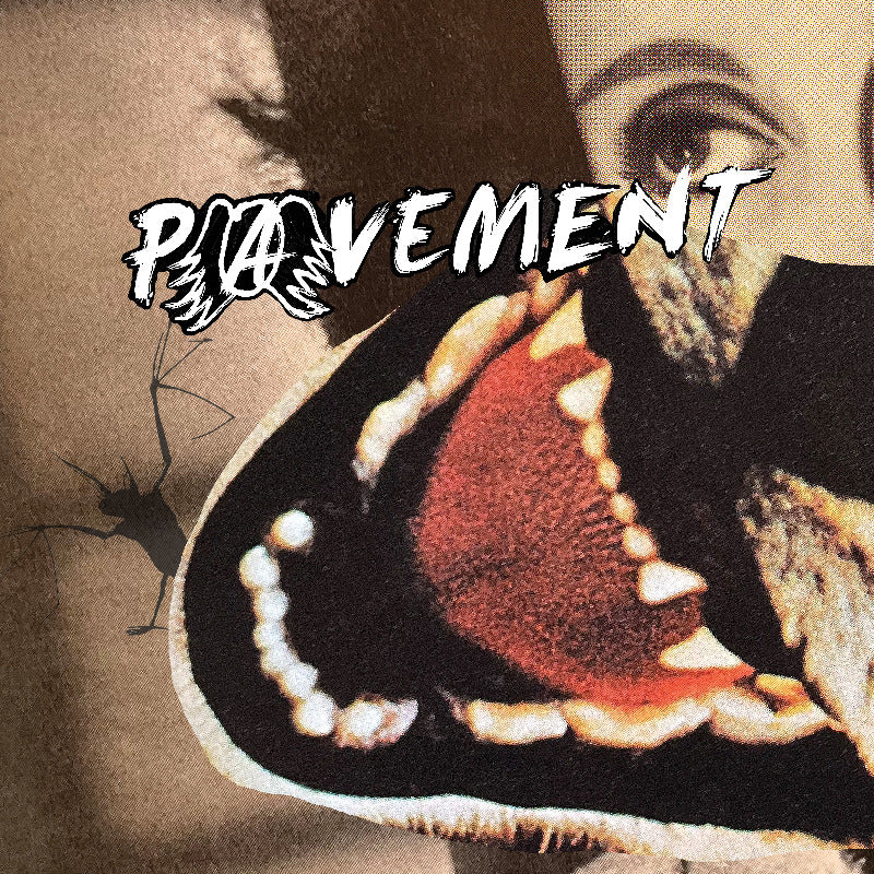 Pavement - Hecklers Choice: Big Gums and Heavy Lifters (Vinyl)
