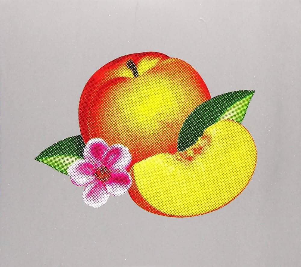 Phoenix - Bankrupt