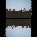 Rogers, Maggie - Now That the Light is Fading