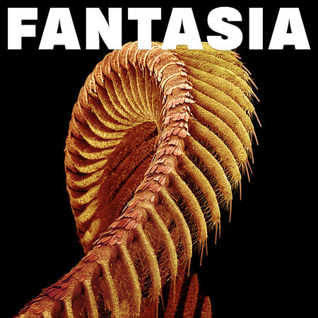 SLIFT - Fantasia (Vinyl)