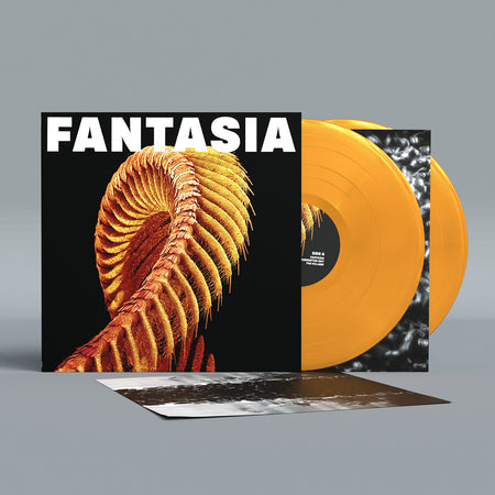 SLIFT - Fantasia (Vinyl)