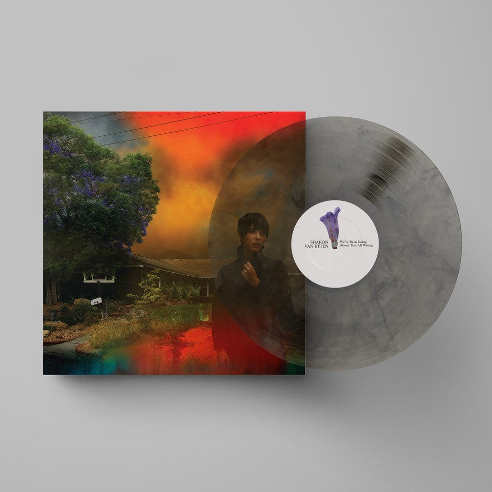 Sharon Van Etten - We’ve Been Going About This All Wrong (Vinyl)