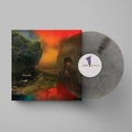 Sharon Van Etten - We’ve Been Going About This All Wrong (Vinyl)