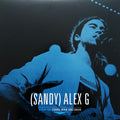 (Sandy) Alex G - Live at Third Man Records