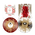 SCHAMMASCH 'CONTRADICTION' 2LP (Red & White / Gold Splatter Vinyl)