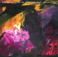 The Verlaines - Some Disenchanted Everything (Vinyl)