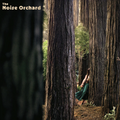 The Noise Orchard - The Noise Orchid (Vinyl)