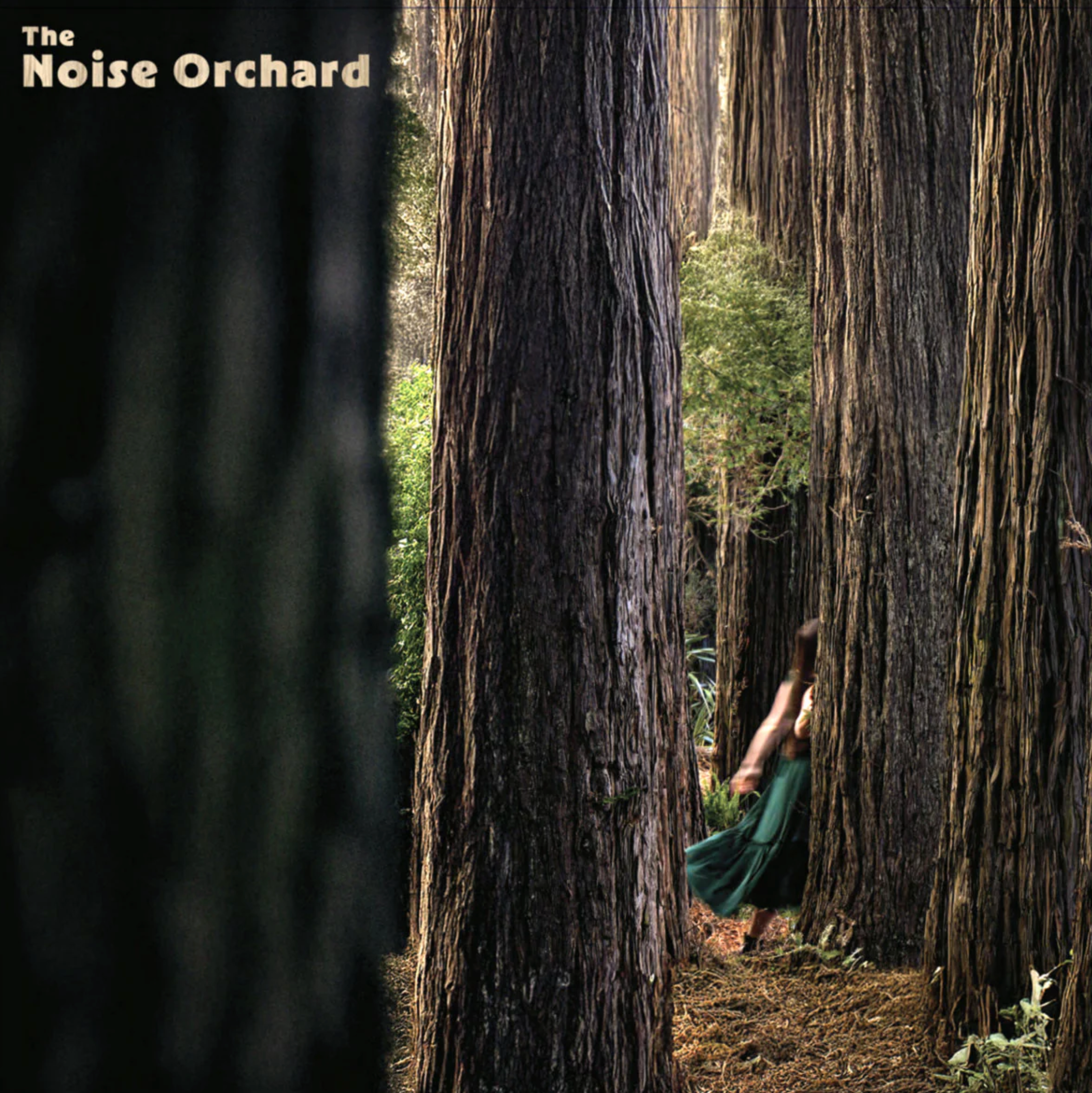 The Noise Orchard - The Noise Orchid (Vinyl)