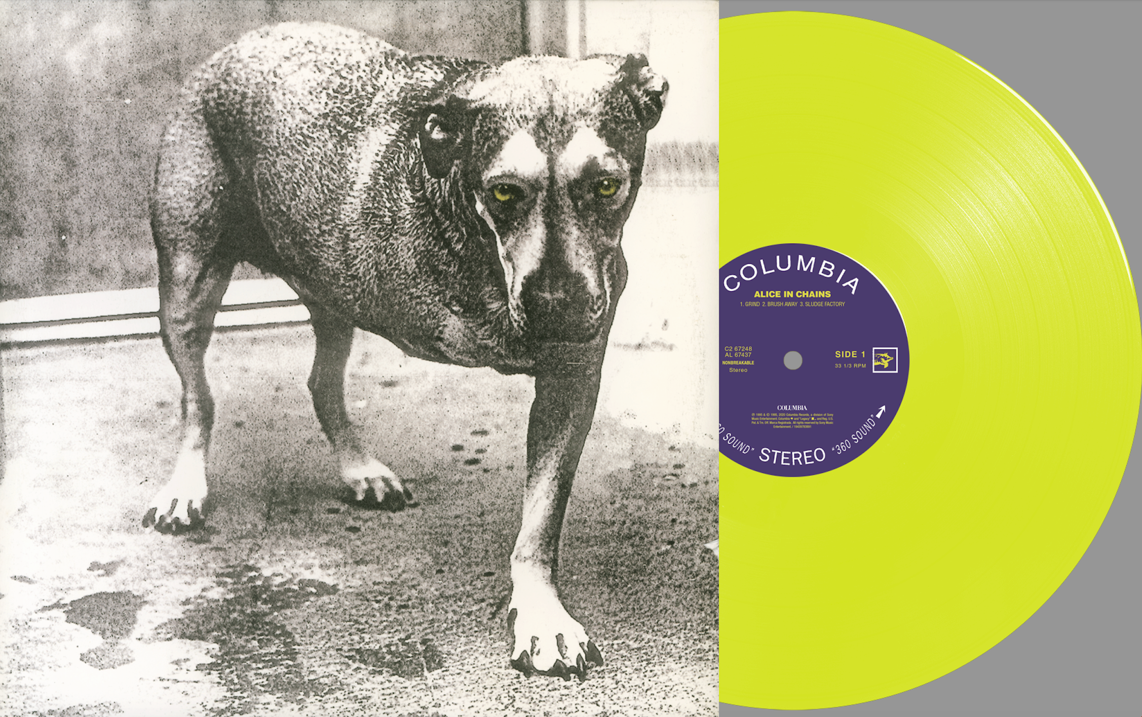 Alice In Chains - Alice In Chains (30th Anniversary) (Vinyl)