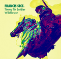 Francis Sect - Timmy Ton Soldier / Wildflower 7"