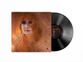 Fables - Change Is A Slow Moving Beat (Vinyl)