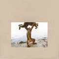 Shellac - Dude Incredible (Vinyl LP)