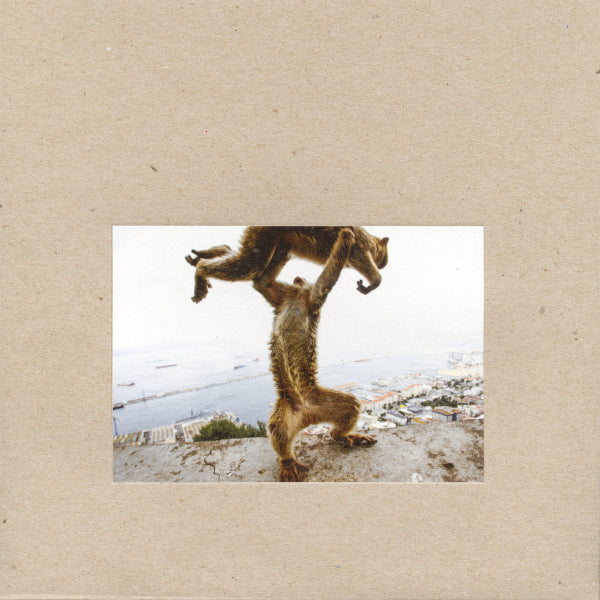 Shellac - Dude Incredible (Vinyl LP)