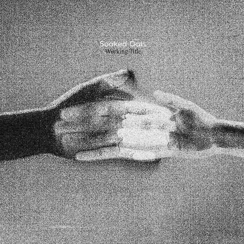 Soaked Oats - Working Title (Vinyl)