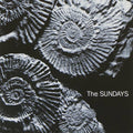 Sundays - Reading, Writing, & Arithmetic
