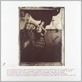 The Pixies - Surfer Rosa (Vinyl)