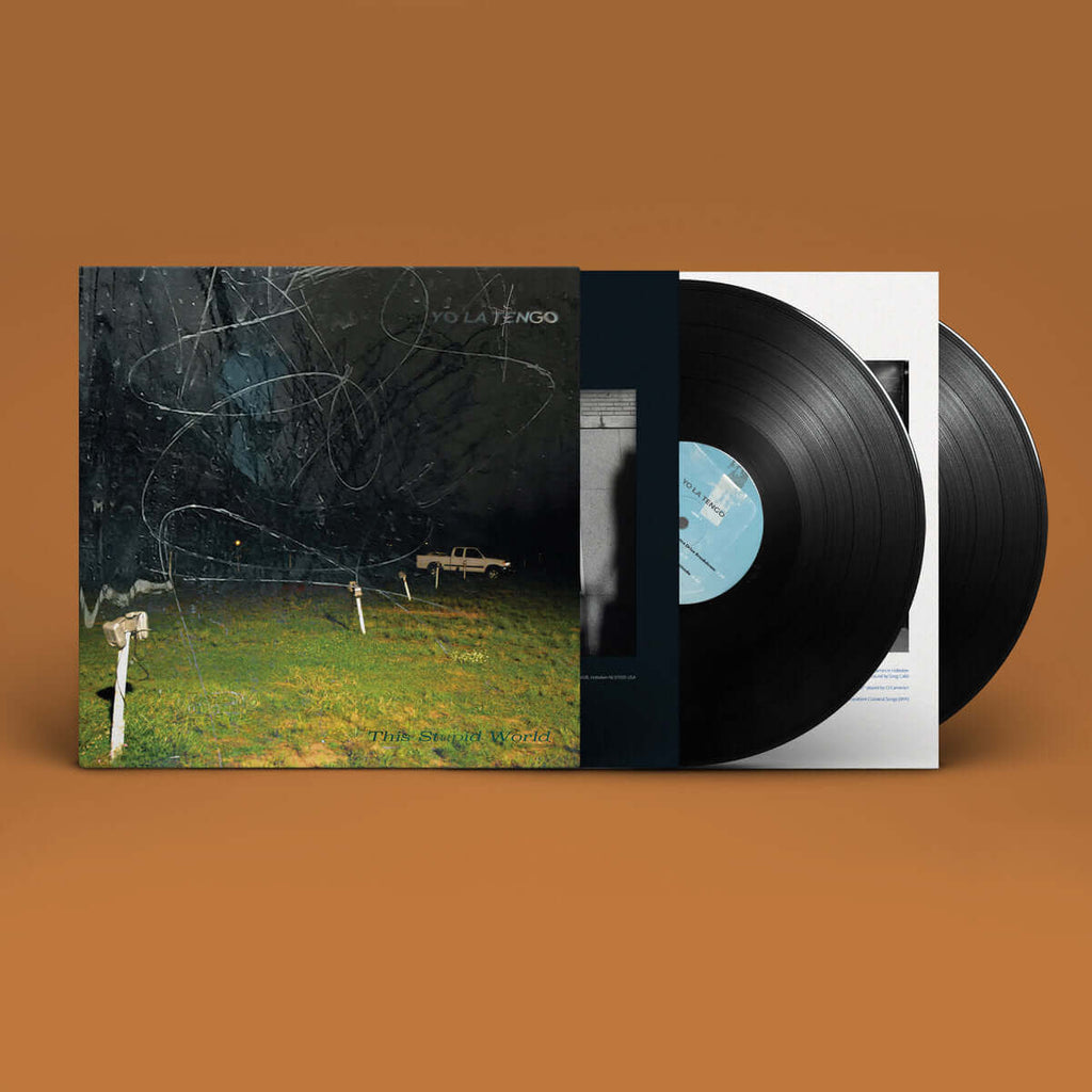 Yo La Tengo - This Stupid World (Vinyl)