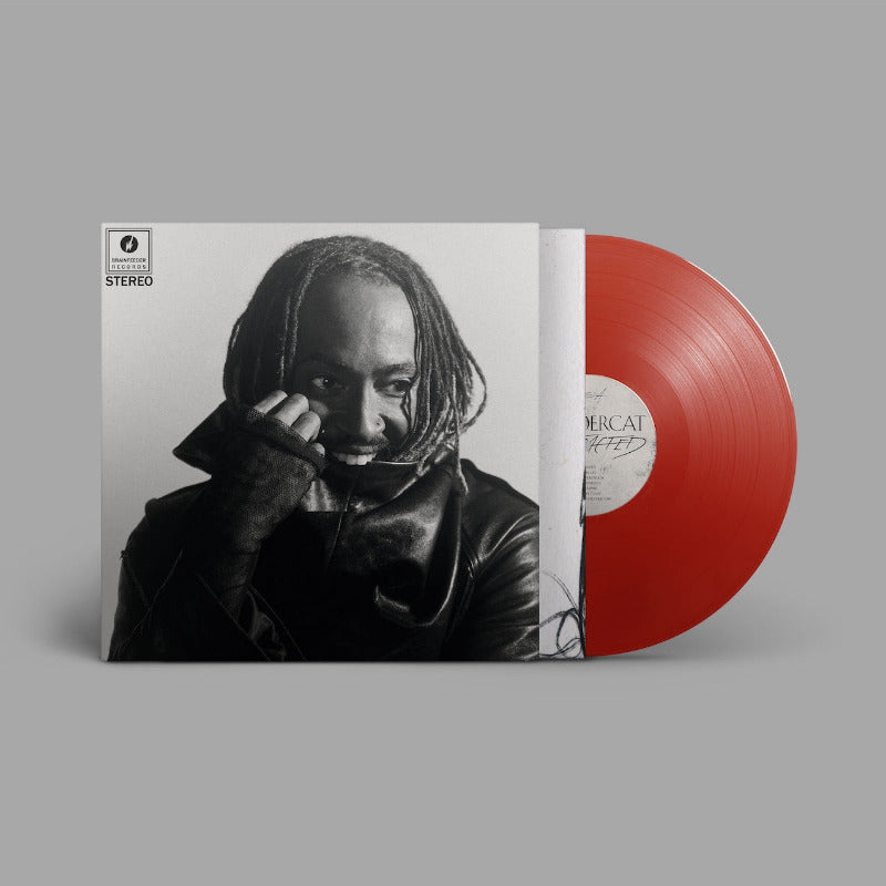 Thundercat - Distracted (Vinyl)