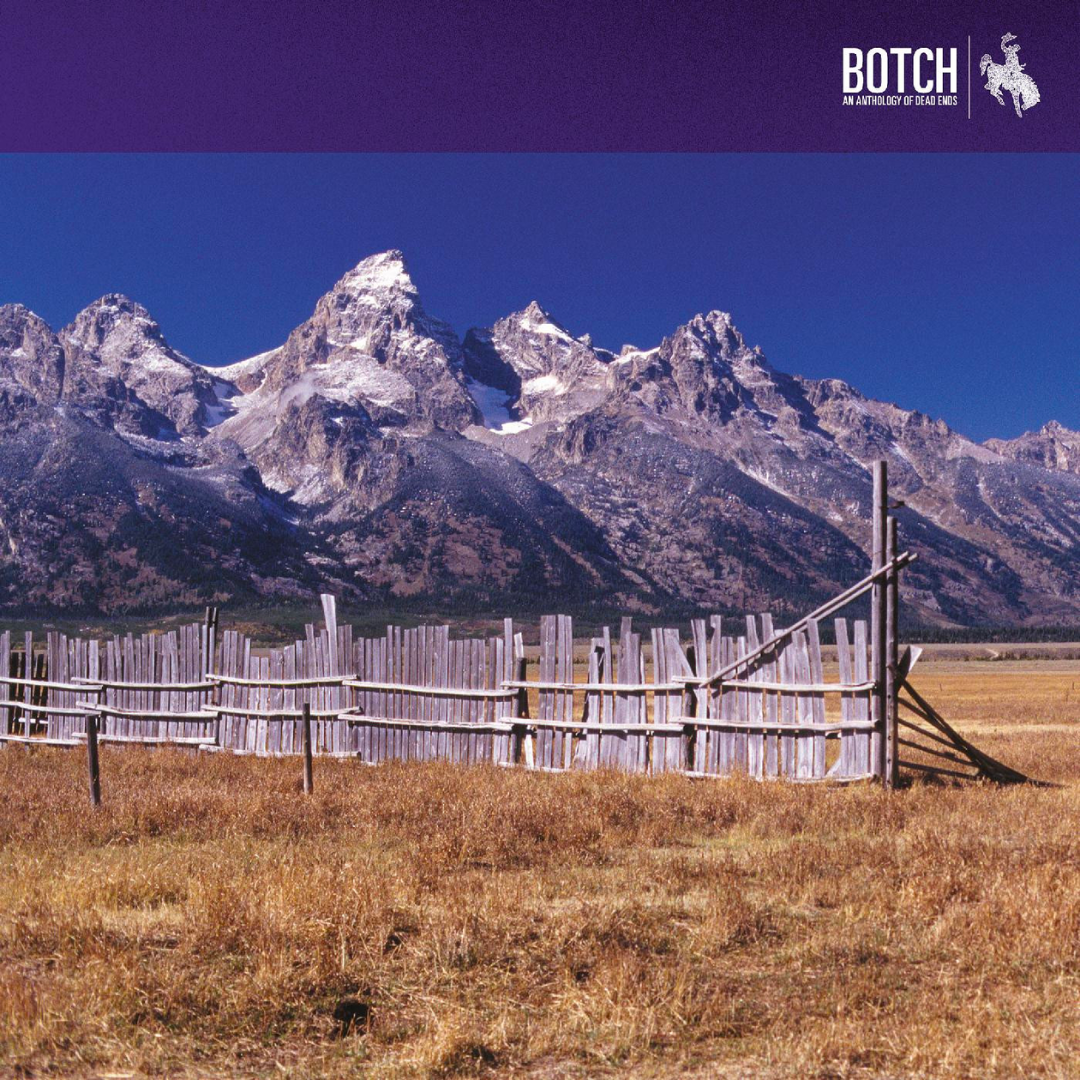 BOTCH 'AN ANTHOLOGY OF DEAD ENDS' LP (Transparent Vinyl)