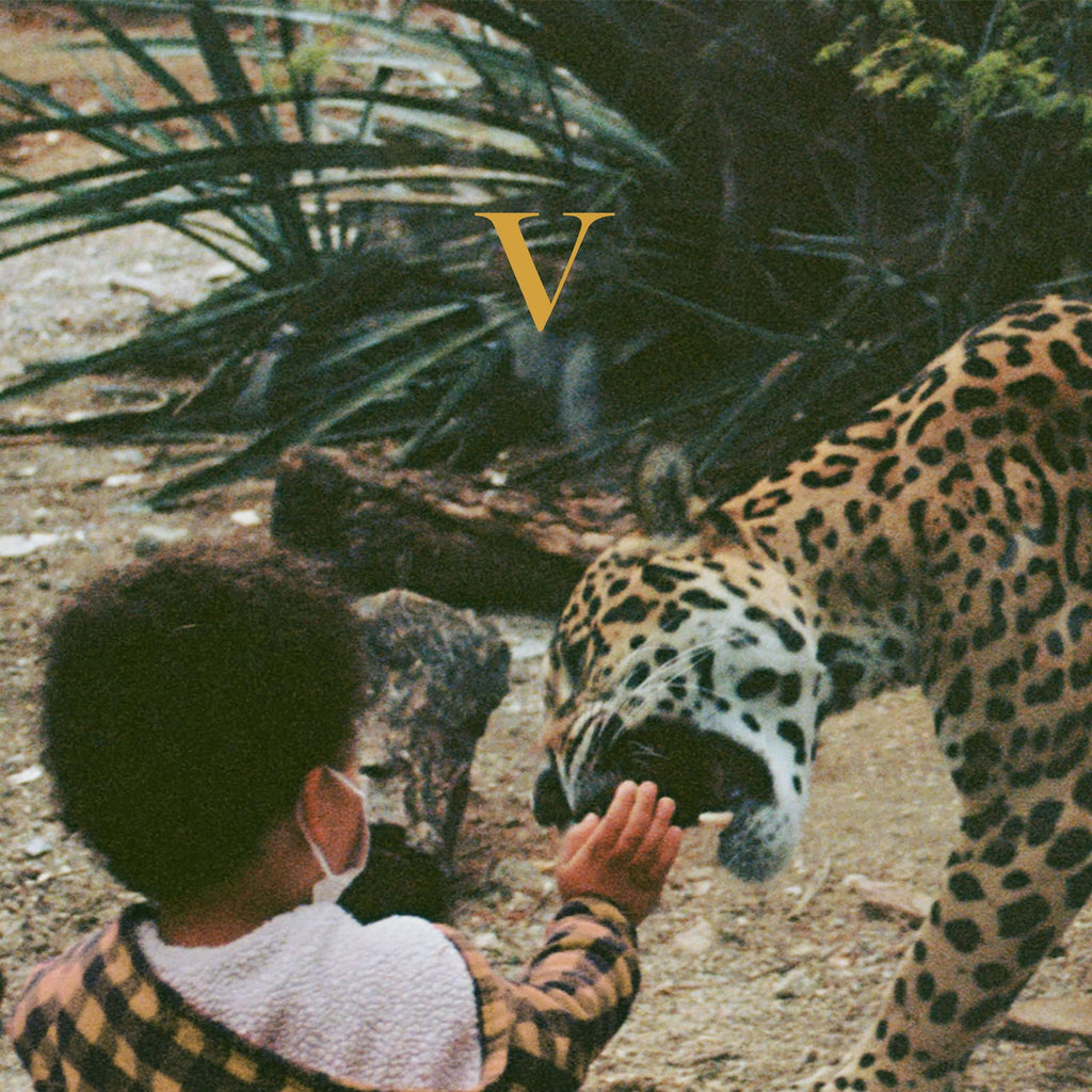 Unknown Mortal Orchestra - V (Vinyl)