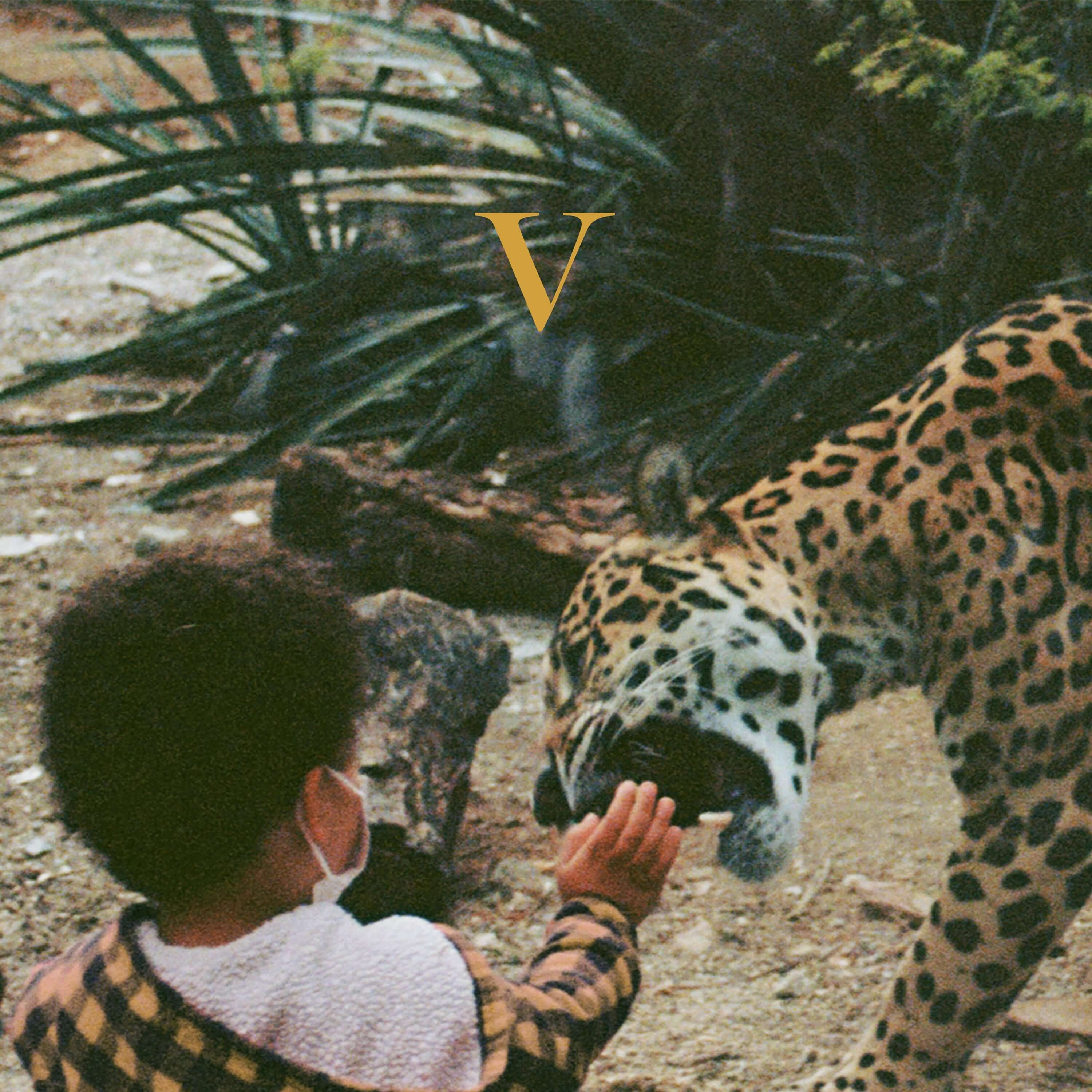 Unknown Mortal Orchestra - V (Vinyl)