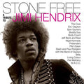JIMI HENDRIX 'STONE FREE: JIMI HENDRIX TRIBUTE' LP (Clear & Black Vinyl, Featuring The Cure, Body Count, Eric Clapton & more)