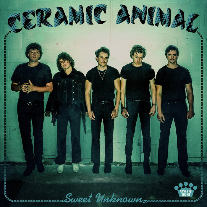 Ceramic Animal - Sweet Unknown