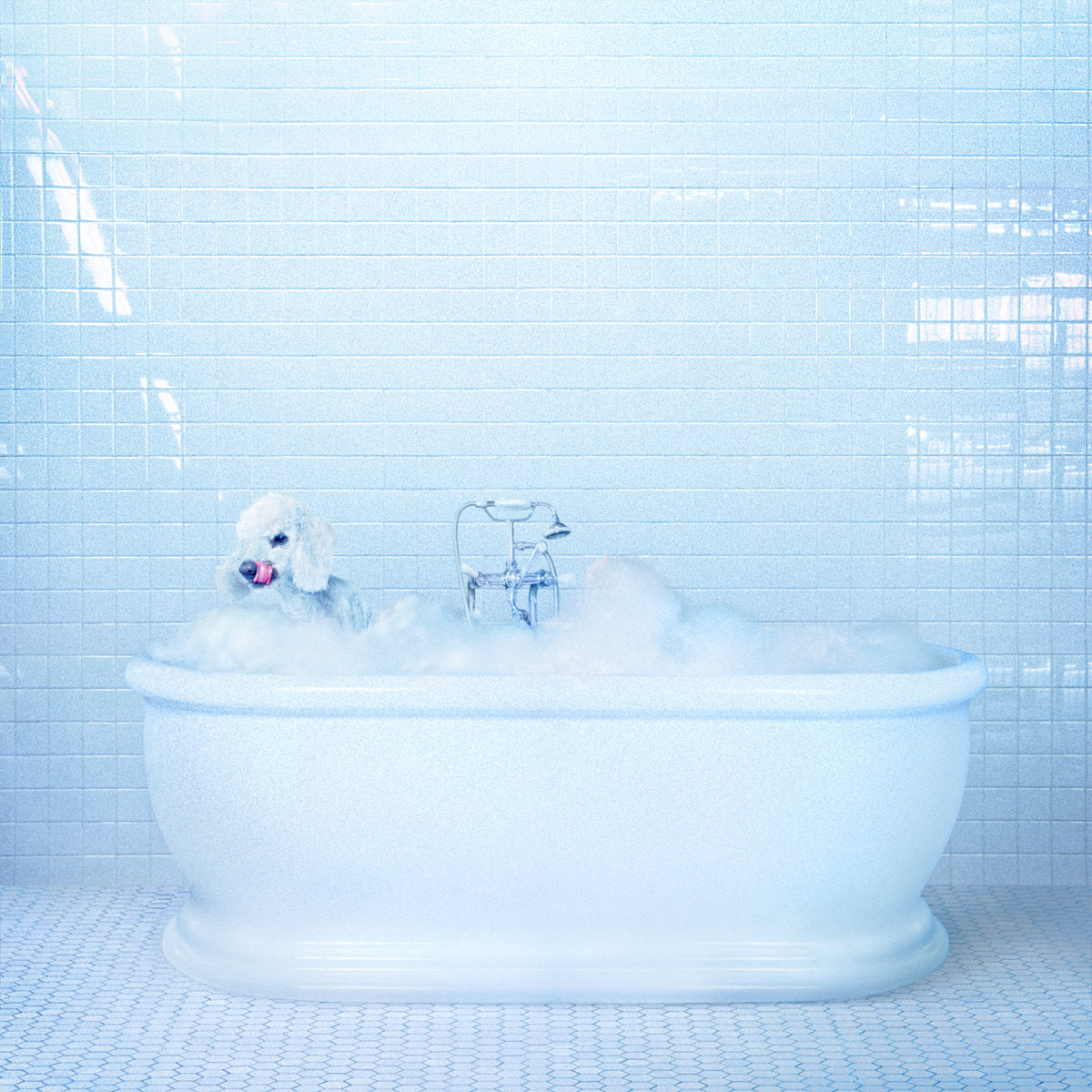 Cosmos, Frankie - Vessel