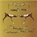 Modest Mouse - Everywhere & His Nasty Parlour Tricks
