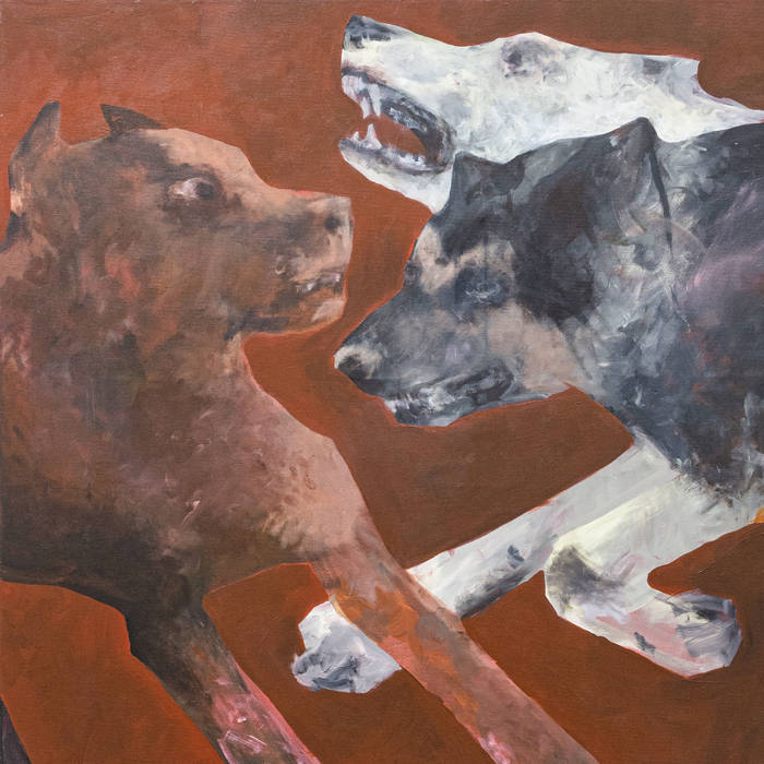 81355 - Bad Dogs