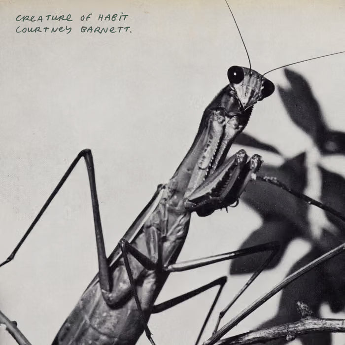 Barnett, Courtney - Creatures Of Habit
