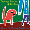 Teenage Fanclub & Jad Fair - Words Of Wisdom And Hope 7" (RSD 2026)