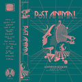 Post Animal - Levitation Sessions