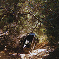 Segall, Ty - Possession