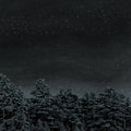 The Besnard Lakes - The Besnard Lakes Are The Prayers For The Death of Fame (Vinyl LP)