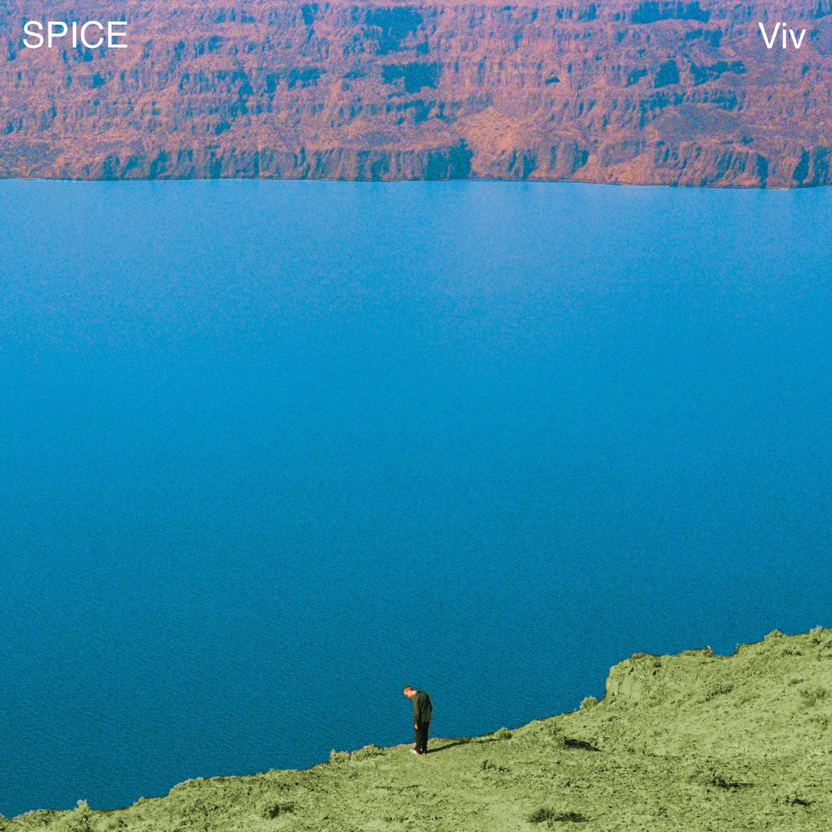 SPICE - Viv