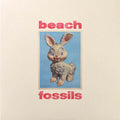 Beach Fossils – Bunny (Vinyl)