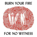 Angel Olsen - Burn Your Fire For No Witness (Vinyl)