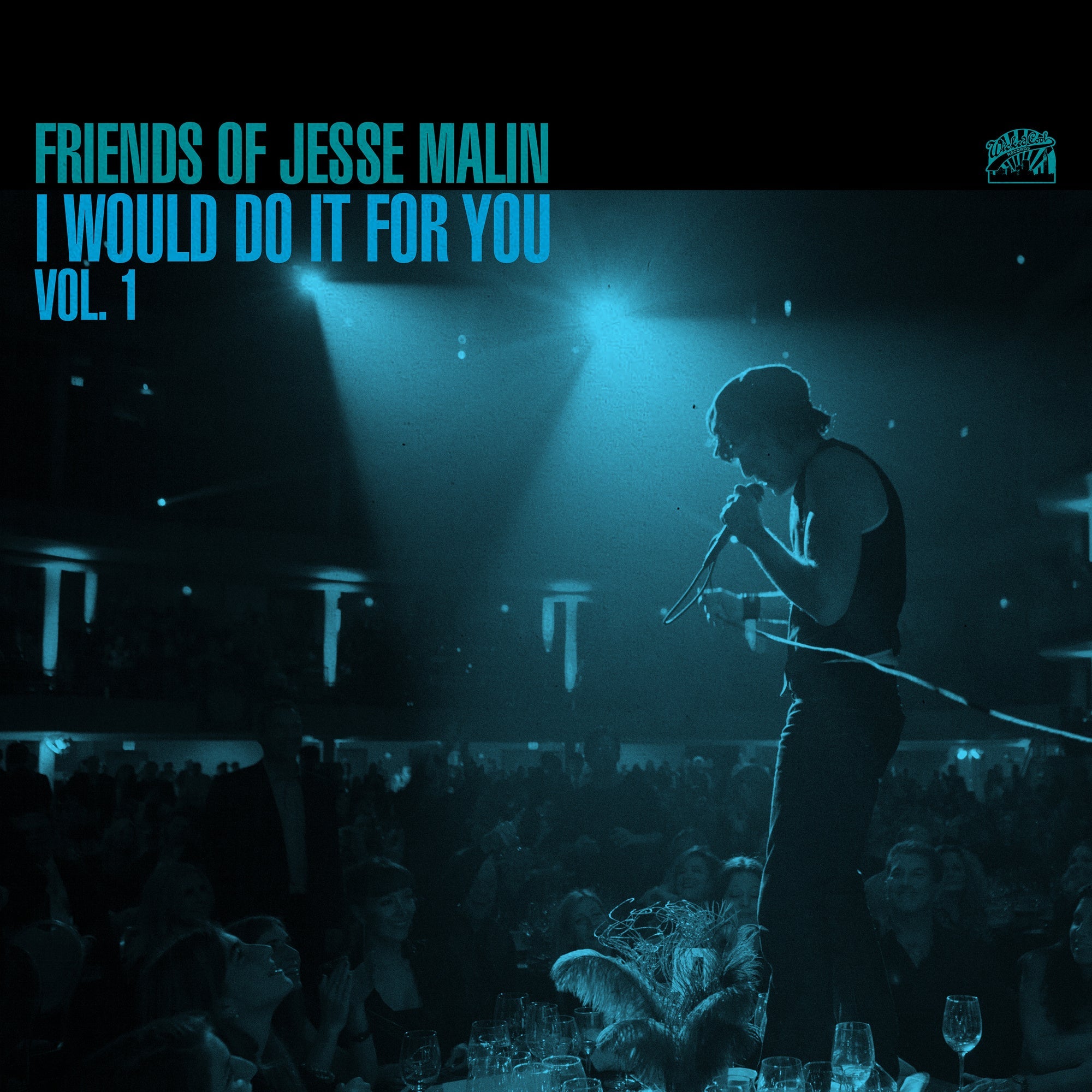 JESSE MALIN 'FRIENDS OF JESSE MALIN - I WOULD DO IT FOR YOU VOL. 1' LP