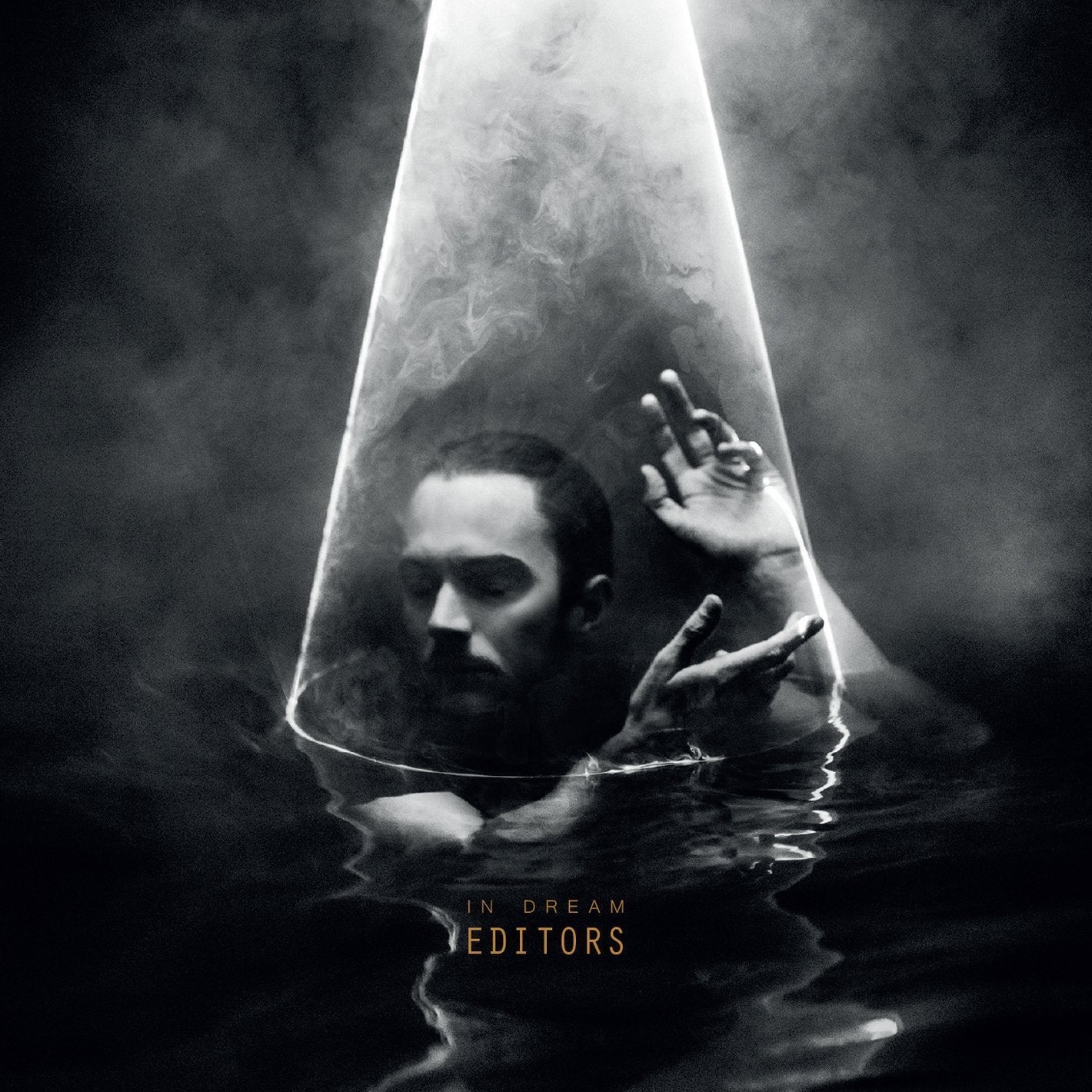 Editors In Dream Vinyl LP 2015