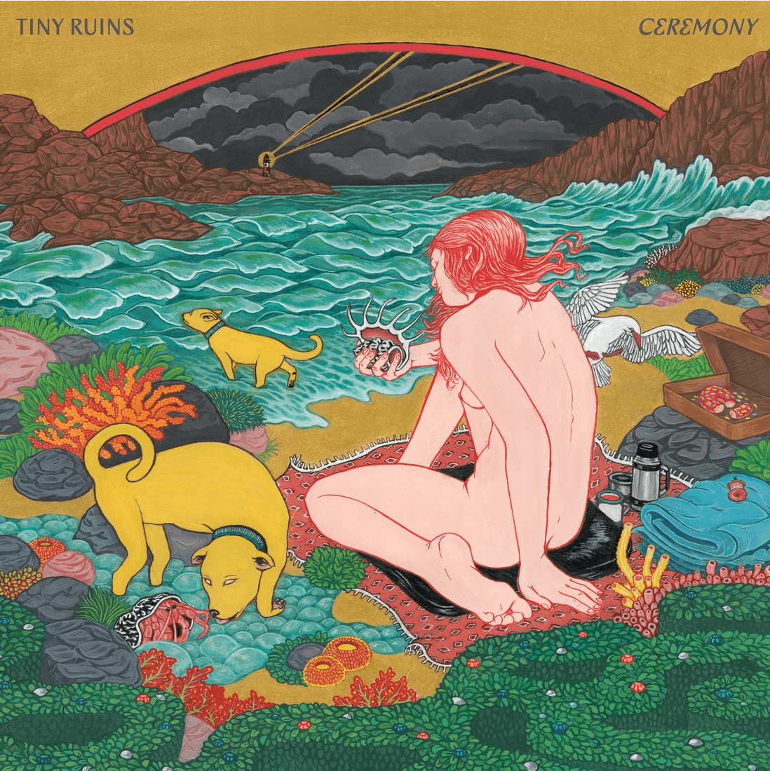 Tiny Ruins - Ceremony (Vinyl)