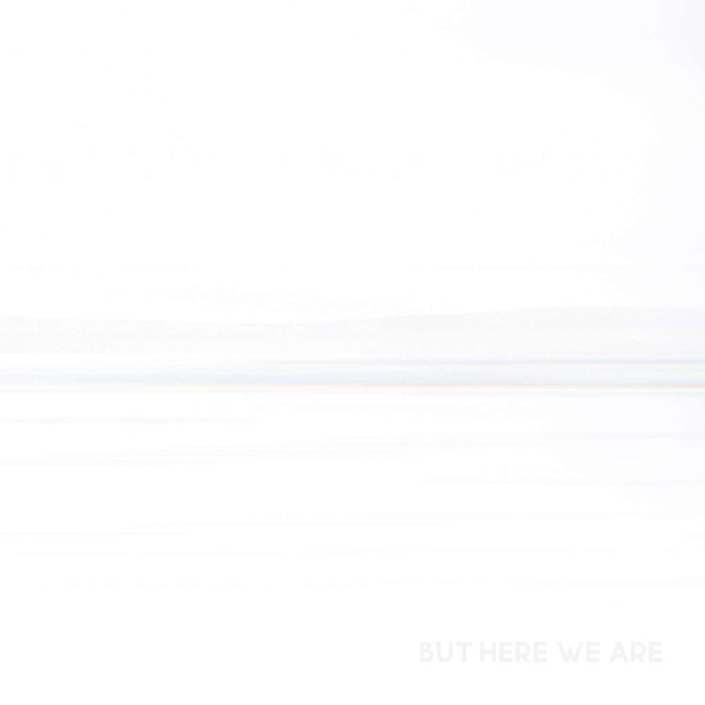 Foo Fighters - But Here We Are (Vinyl)